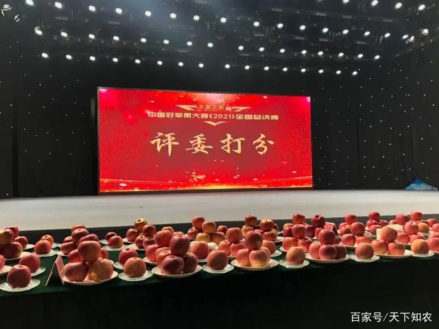 包含穿越重重考验晋级决赛，盛大表演开场的词条