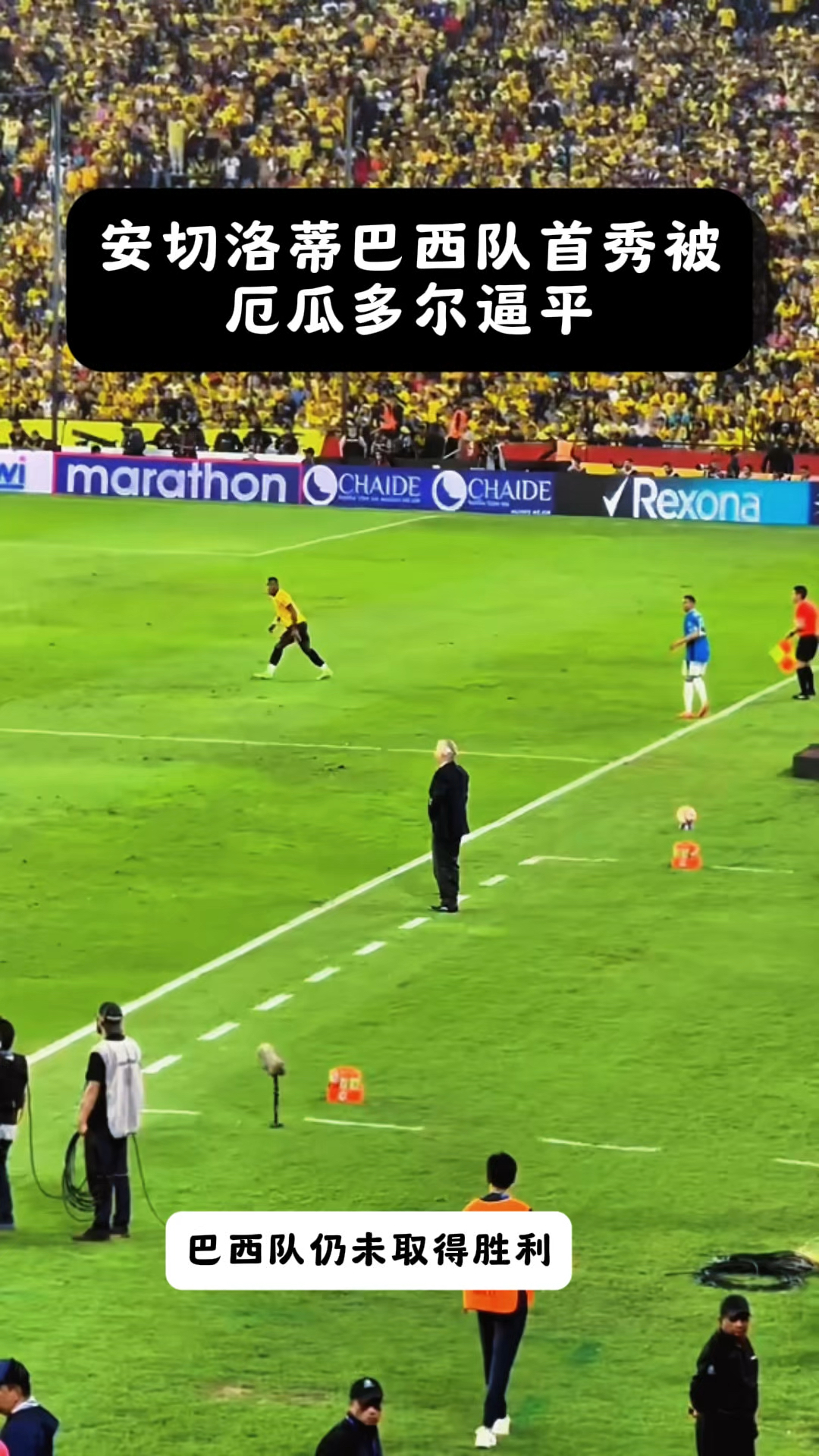被逆转！挪威队输给巴西队，无缘世界杯半决赛的简单介绍