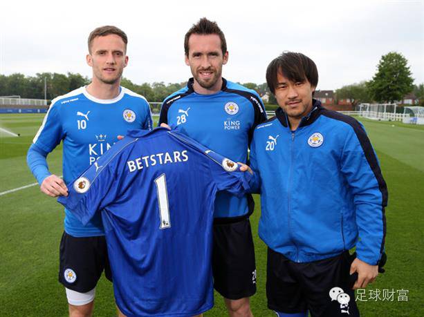 莱斯特城主场告负，降级形势更加严峻的简单介绍