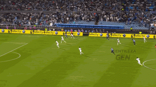 关于南美洲球队在国际篮球赛事中大放异彩，赢得观众喝彩的信息