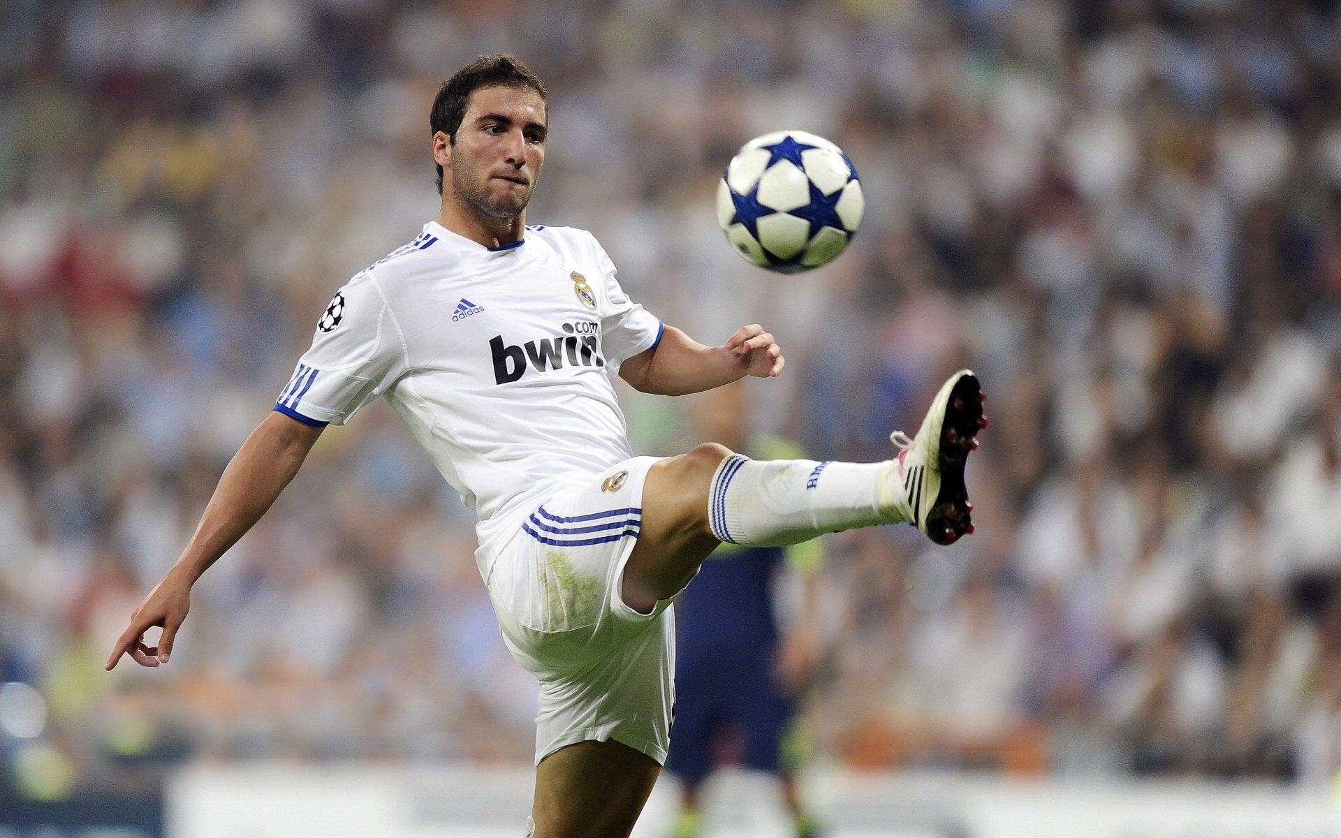 大洋洲旋风席卷北美,世界杯草根逆袭神话诞生记